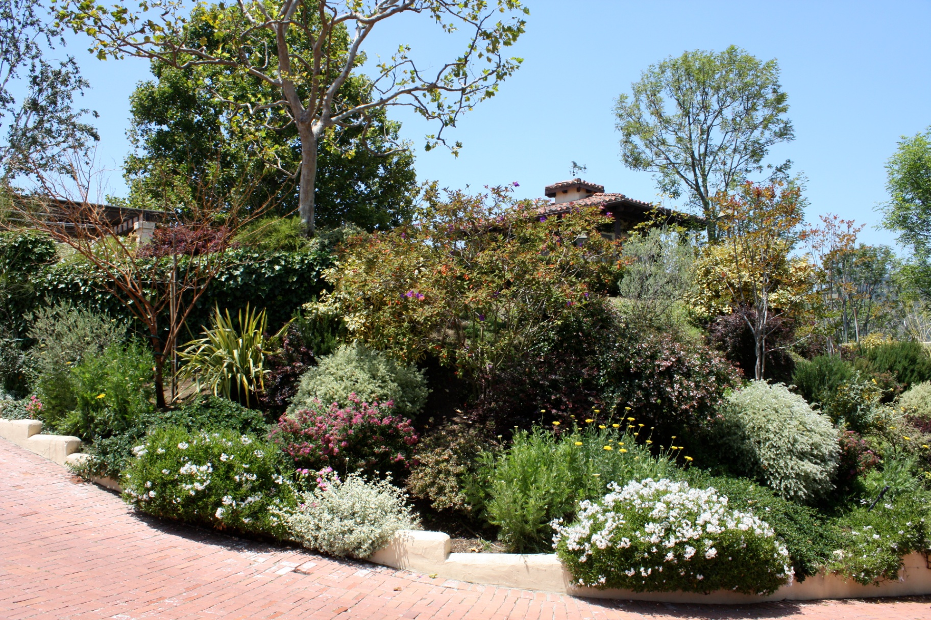 BSH Garden Design — tropical garden room with palms and ferns