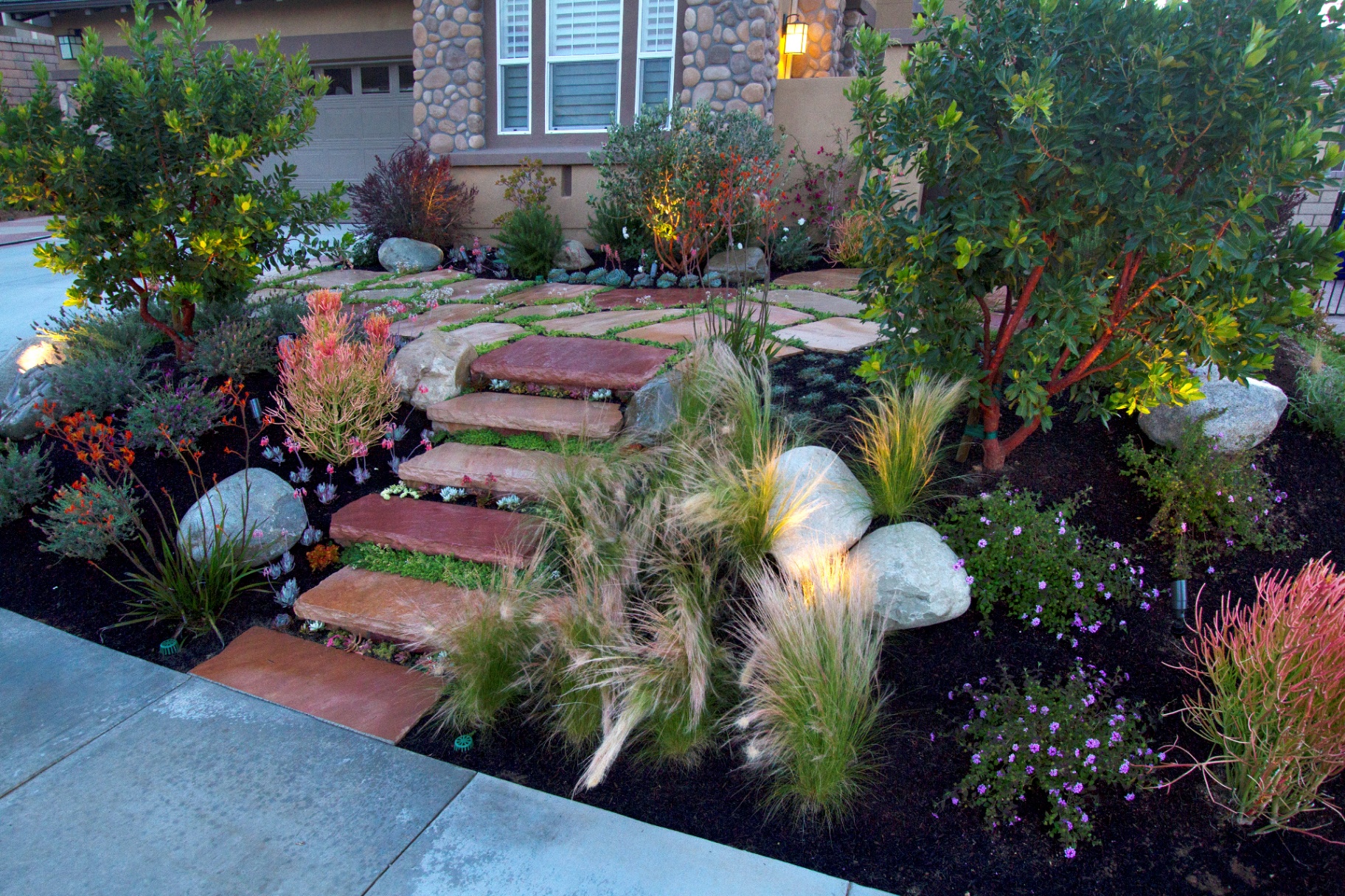 BSH Sustainable Landscaping — drought-tolerant garden with modern design