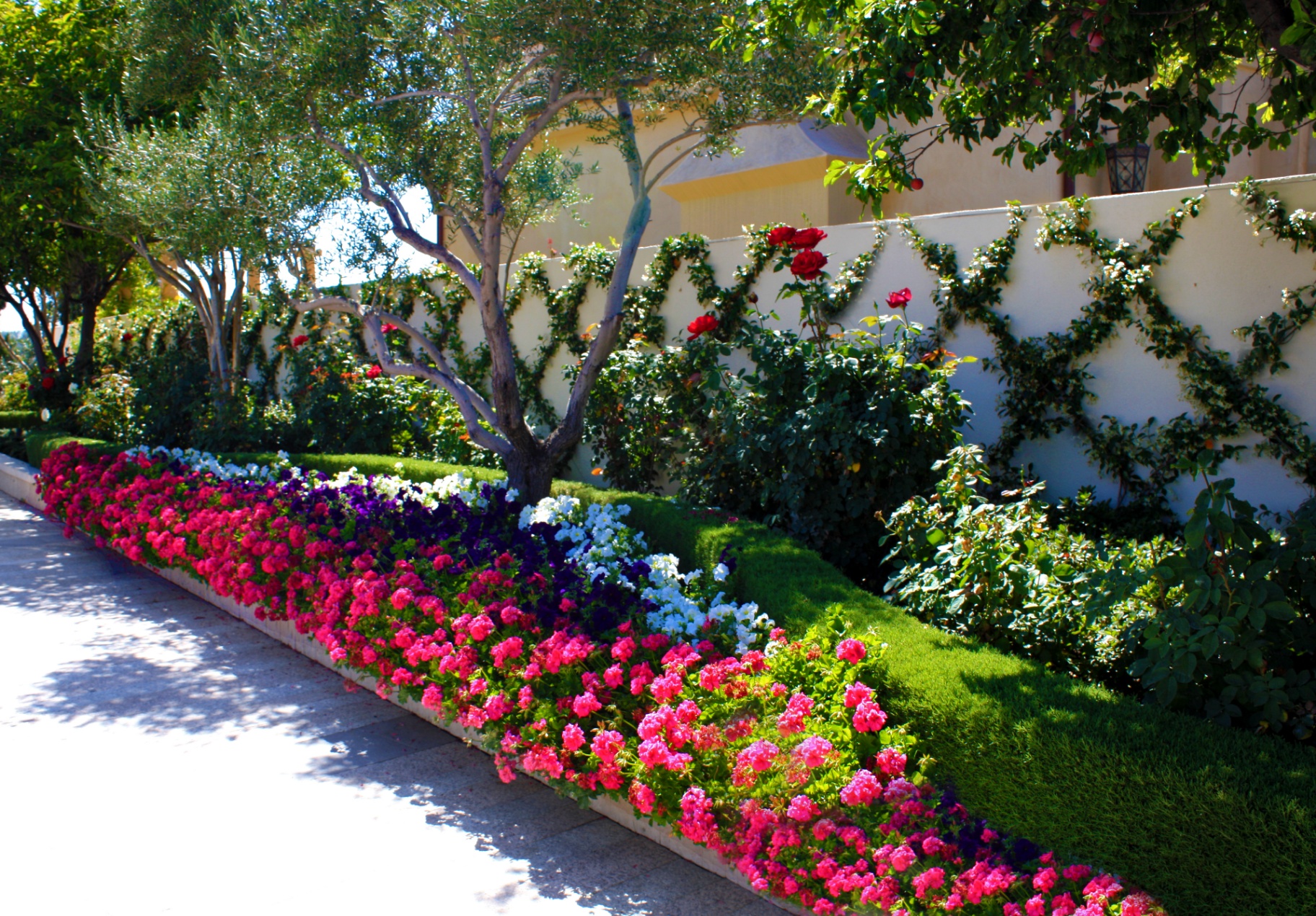 BSH Garden Design — shade garden with layered plantings